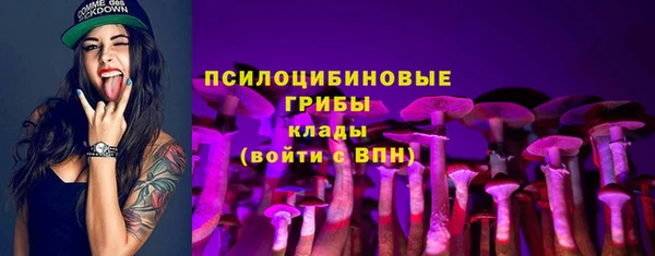 твердый Алзамай