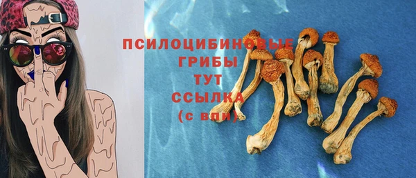 твердый Алзамай