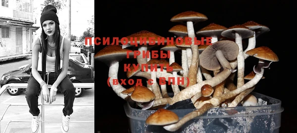 соль ск Алексеевка
