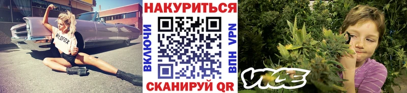 Бошки марихуана марихуана  Кукмор 